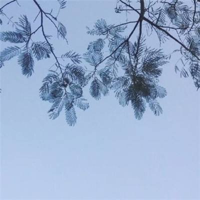 剑豪情缘内购破解版下载